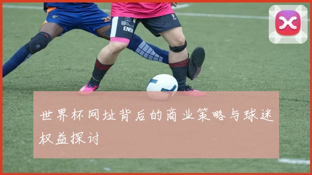 世界杯网址背后的商业策略与球迷权益探讨
