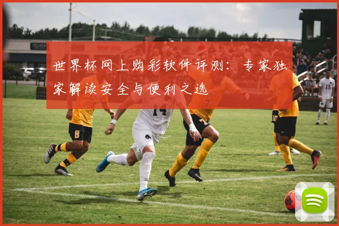 世界杯网上购彩软件评测：专家独家解读安全与便利之选