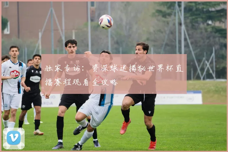 独家专访：资深球迷揭秘世界杯直播赛程观看全攻略