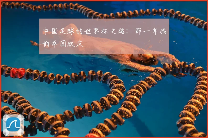 中国足球的世界杯之路：那一年我们举国欢庆