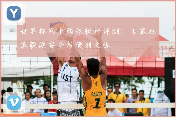 世界杯网上购彩软件评测：专家独家解读安全与便利之选