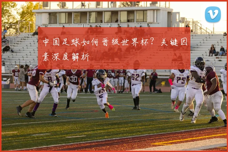中国足球如何晋级世界杯？关键因素深度解析