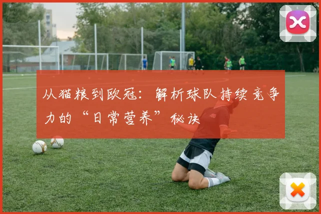 从猫粮到欧冠：解析球队持续竞争力的“日常营养”秘诀